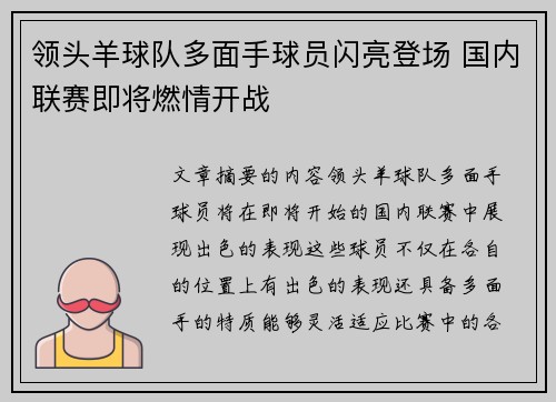 领头羊球队多面手球员闪亮登场 国内联赛即将燃情开战