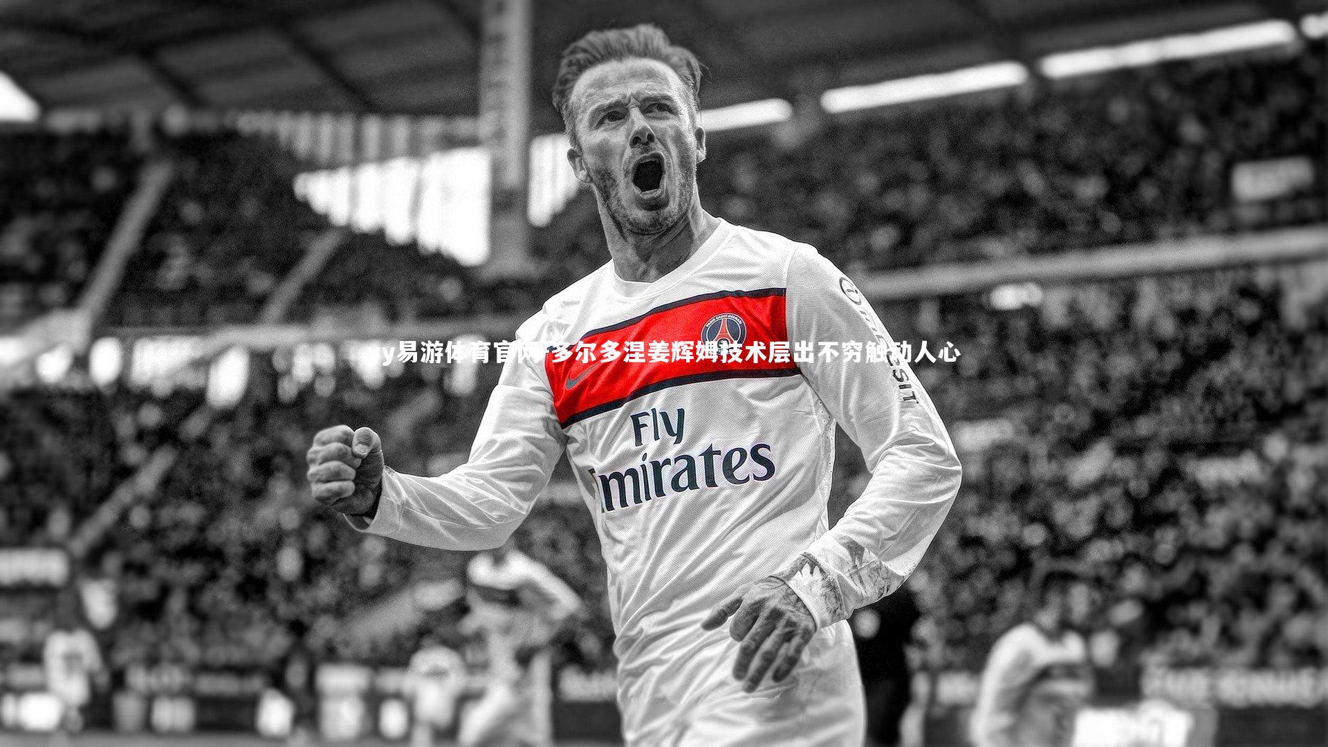 yy易游体育官网-多尔多涅姜辉姆技术层出不穷触动人心