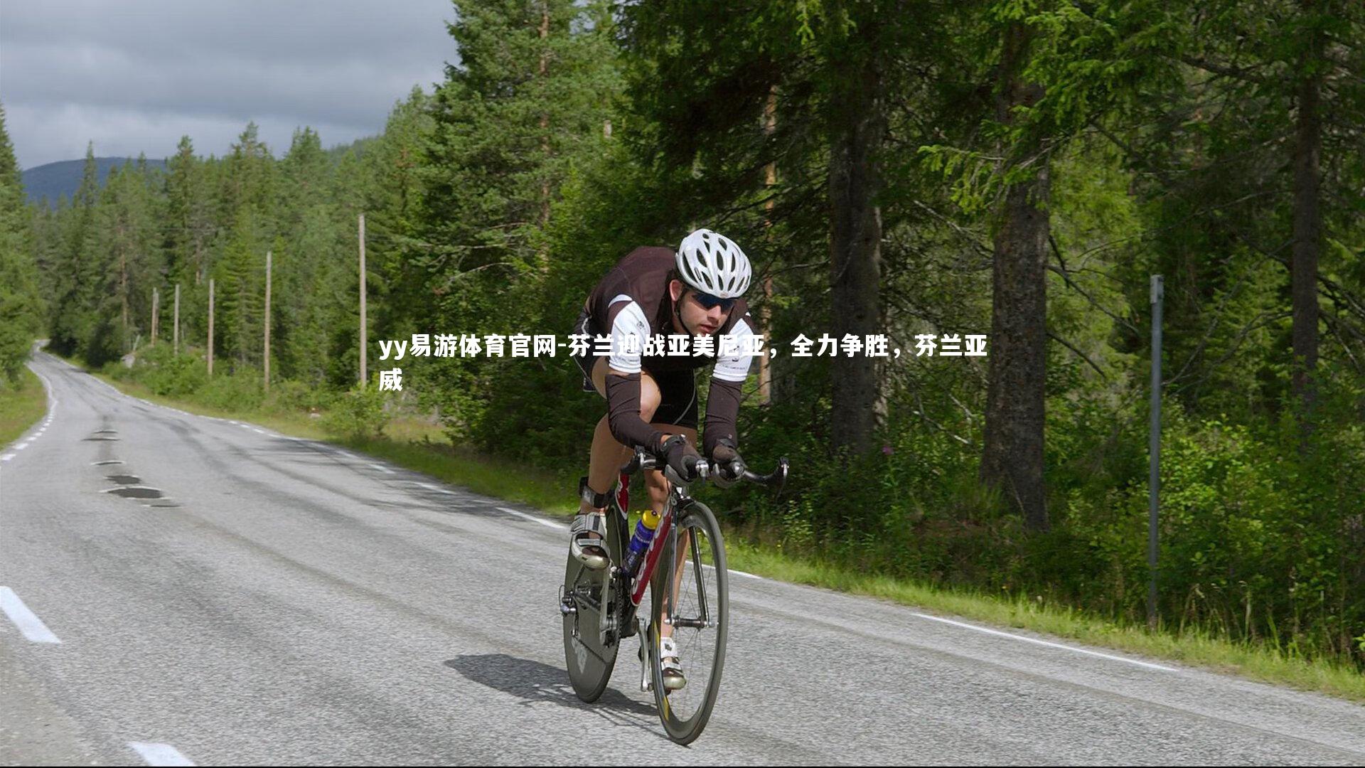 芬兰迎战亚美尼亚，全力争胜，芬兰亚威